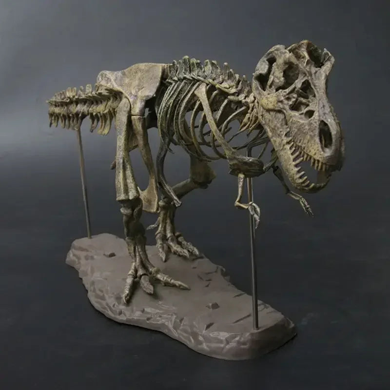 Dinosaure à Construire Tyrannosaurus Rex