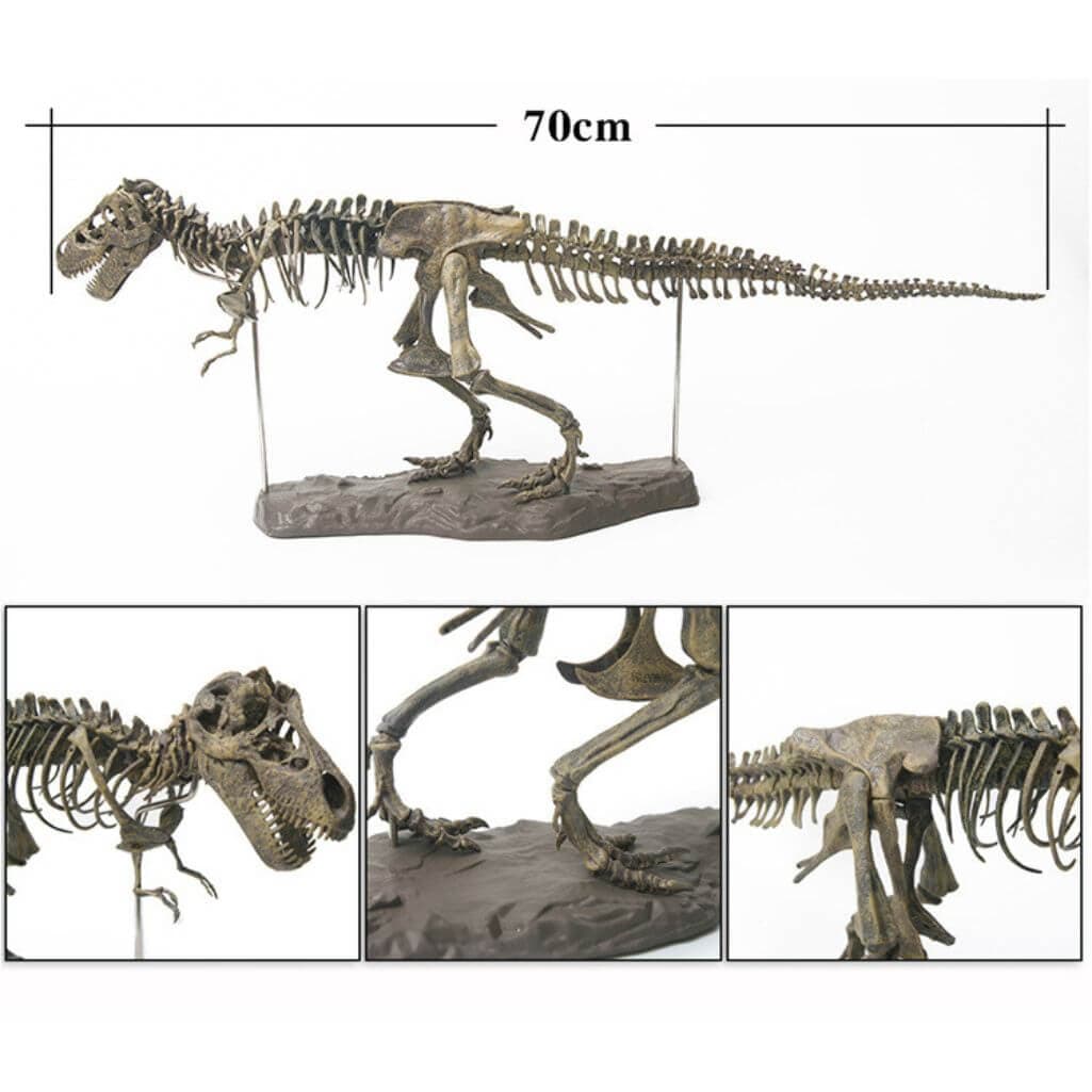 Dinosaure à Construire Tyrannosaurus Rex