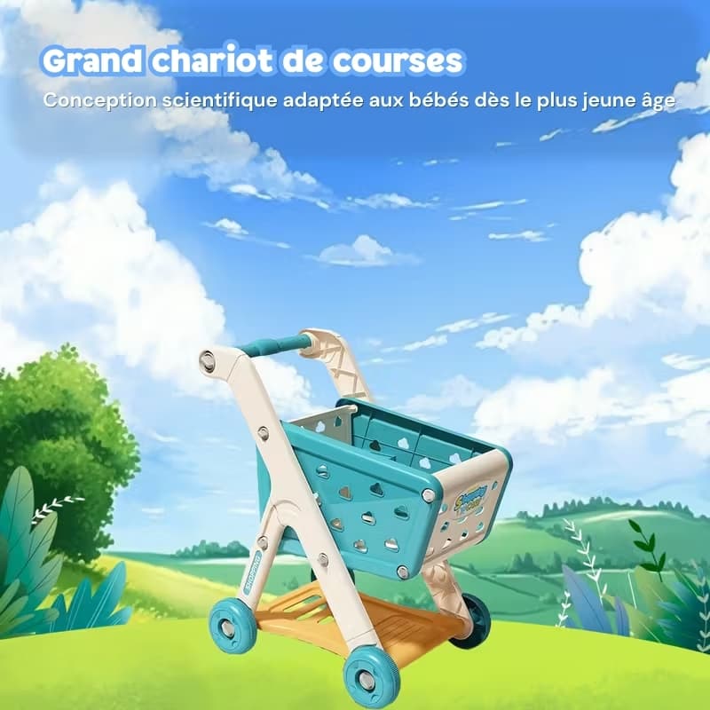 Chariot de course garni supermarché