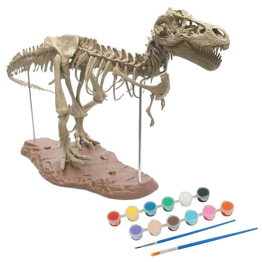 Dinosaure à Construire Tyrannosaurus Rex