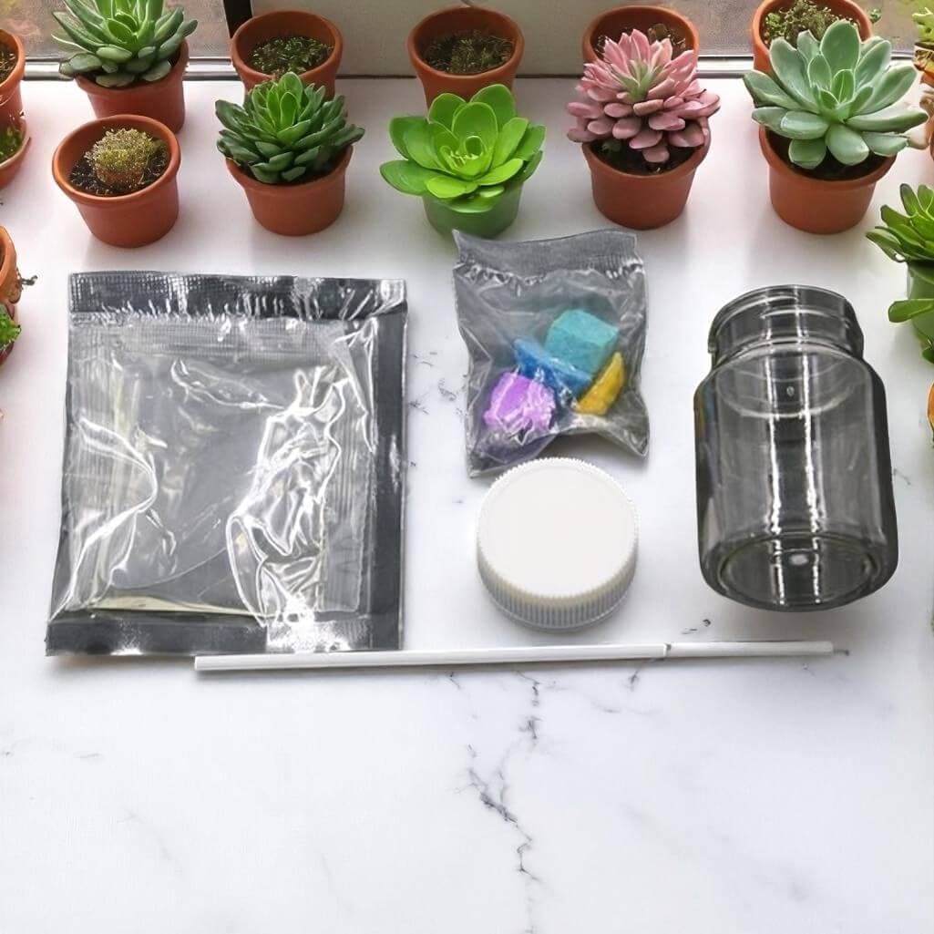 Kit Jardin Chimique